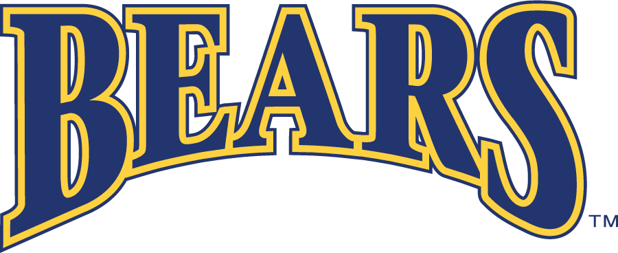 Northern Colorado Bears 2002-2010 Wordmark Logo diy iron on heat transfer